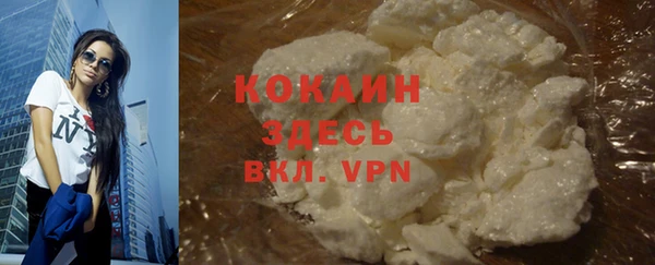ГАЛЛЮЦИНОГЕННЫЕ ГРИБЫ Абаза