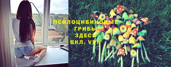 ГАЛЛЮЦИНОГЕННЫЕ ГРИБЫ Абаза
