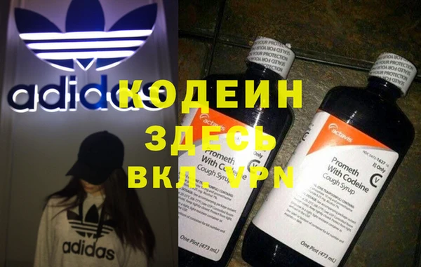 ГАЛЛЮЦИНОГЕННЫЕ ГРИБЫ Абаза